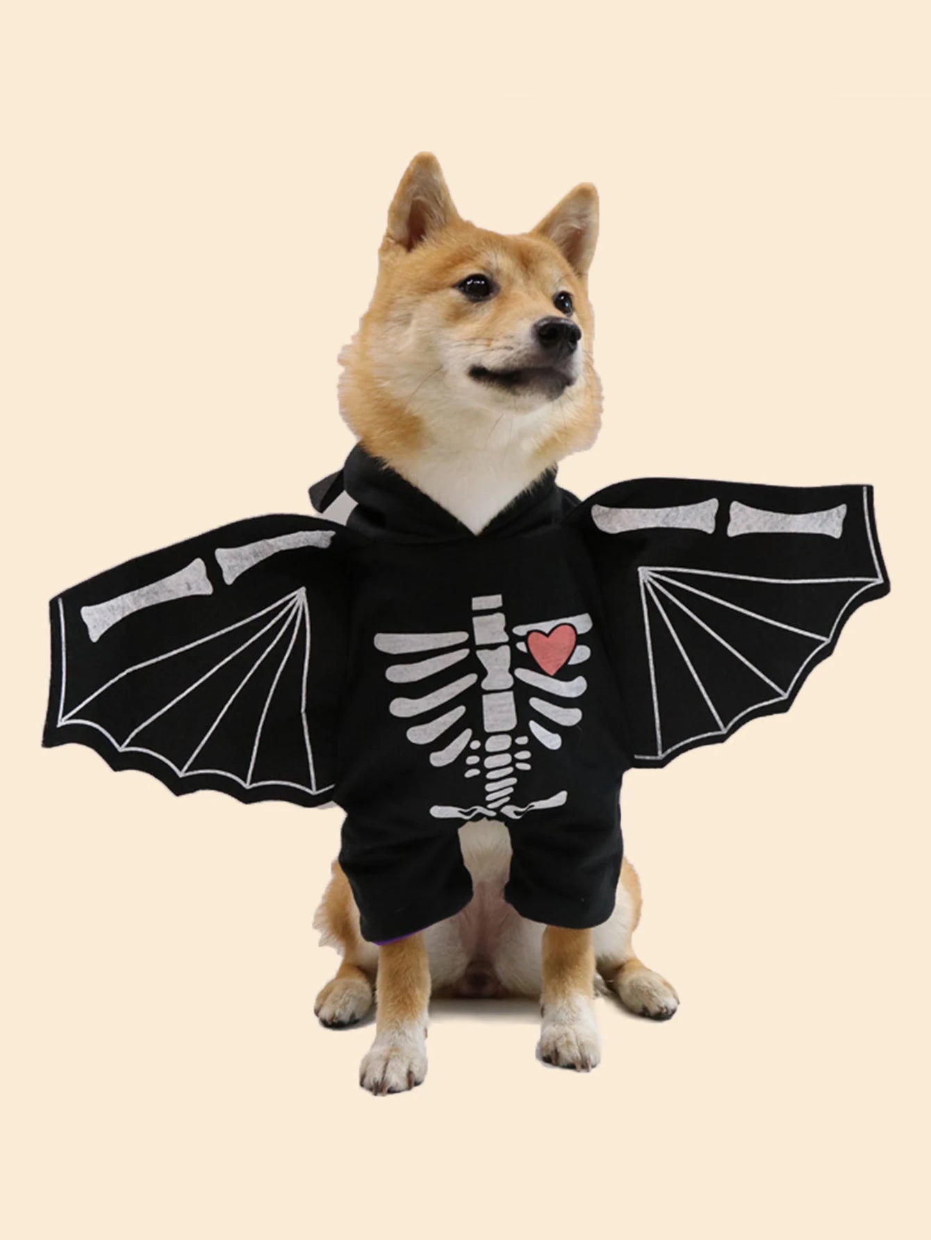 wholesale Dog Bat Clothing Halloween Pet Costumes Bat Wings for Small Medium Large Dogs