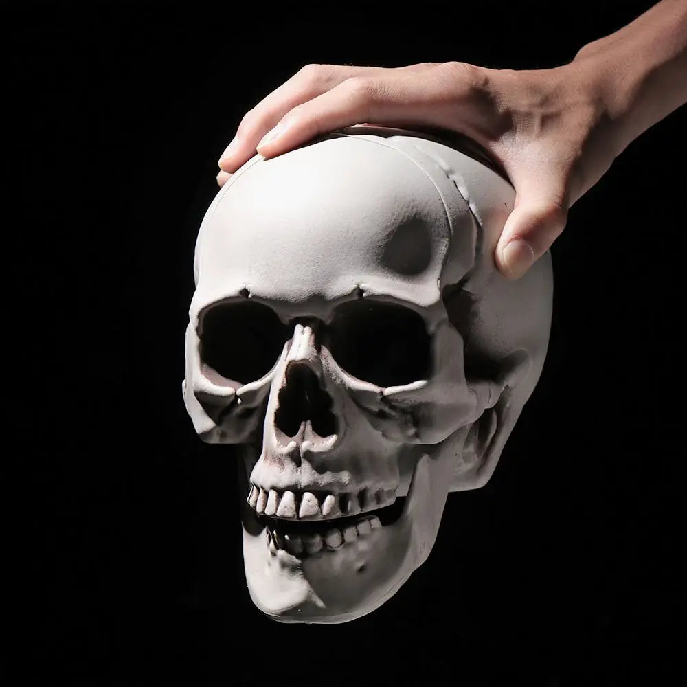 All Size Human Skull Head Skeleton Halloween Style Photo Prop Home Party Decor Game Supplies