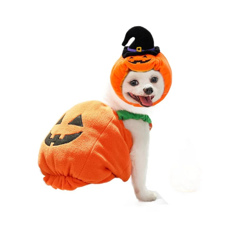 1 Set Halloween Cat Costumes Pumpkin Cute Cat Hat Scarf Clothes for Small Dogs Pet Cosplay Gift