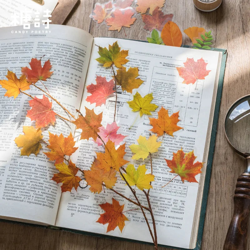 40 Pcs Diy Decoration Autumn Leaves Adhesive Stickers For Laptop Planners Scrapbook Diary Notebooks