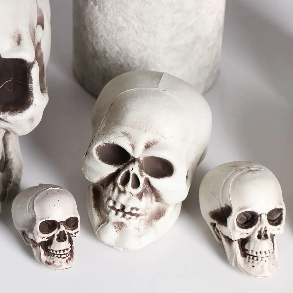 All Size Human Skull Head Skeleton Halloween Style Photo Prop Home Party Decor Game Supplies